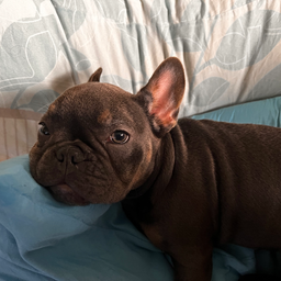 Profile image of Nyc_jay M.M