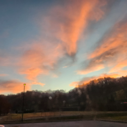 Profile image of Alyssa