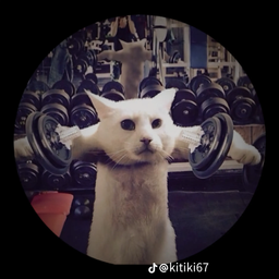 Profile image of Lucaszaum