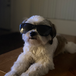 Profile image of Ares