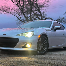 Profile image of biglugg6