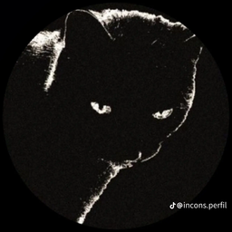 Profile image of BLKCATV2 