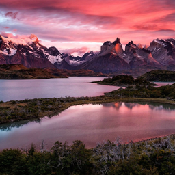 Profile image of HeadyyyyyyyNiko