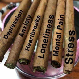 Profile image of WhiteComet