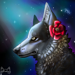 Creator image