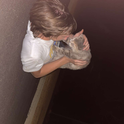 Profile image of CL4PERS-_