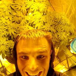 Profile image of HaKKuNaMaBATA