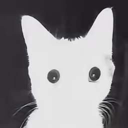 Profile image of J u a n