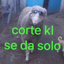 Profile image of User02968527