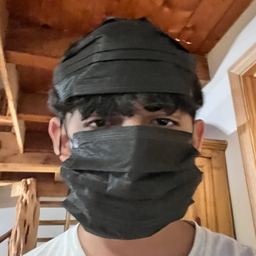 Profile image of unclesam