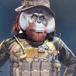 Creator image