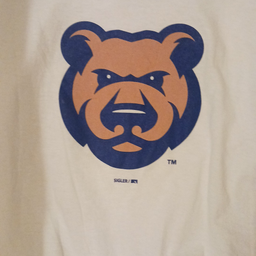 Profile image of Ducks