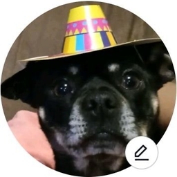 Profile image of Sunsiboi