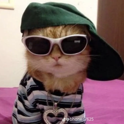 Profile image of Corrupt91v